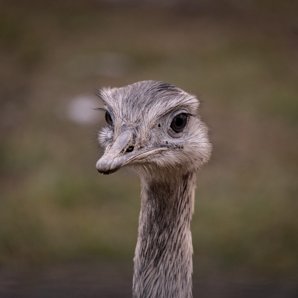 Kritischer Blick