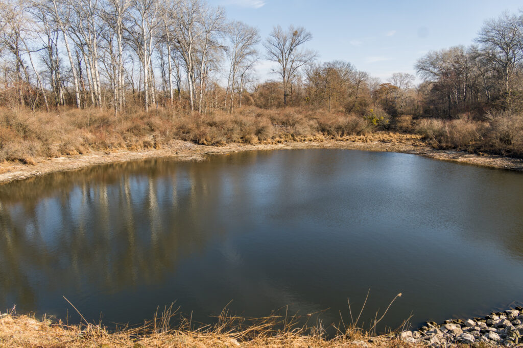 Sehr wenig Wasser in der Lobau im Moment