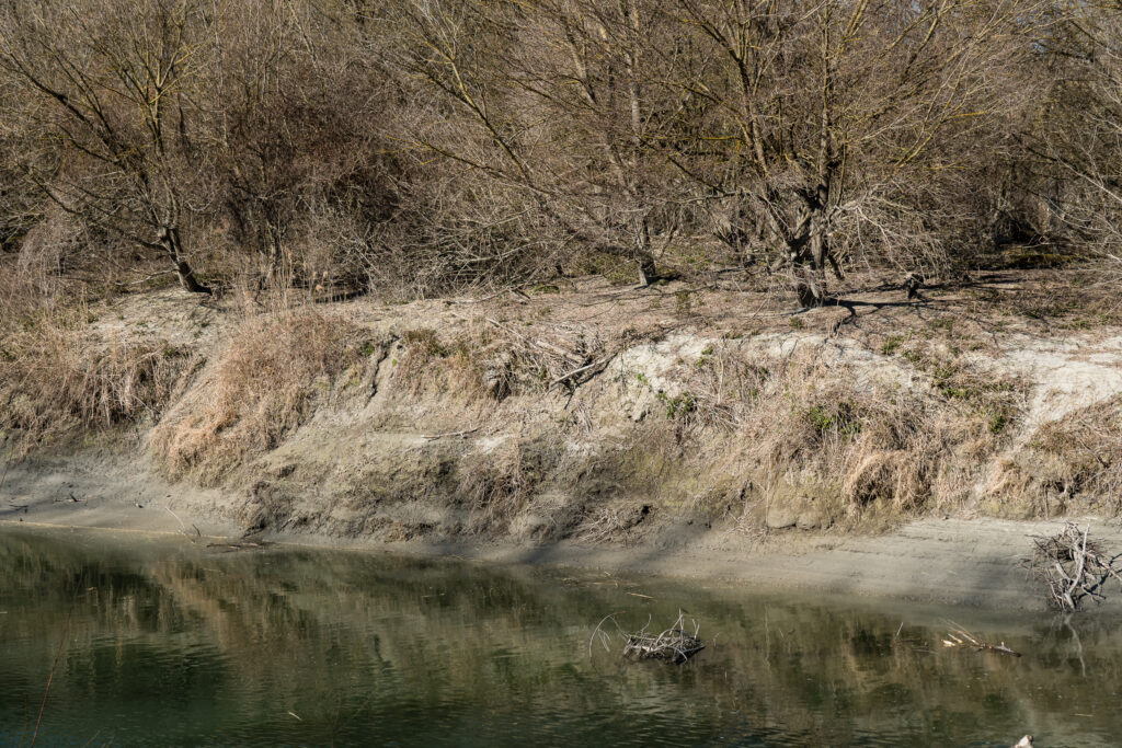 The White Cliffs of Hainburg