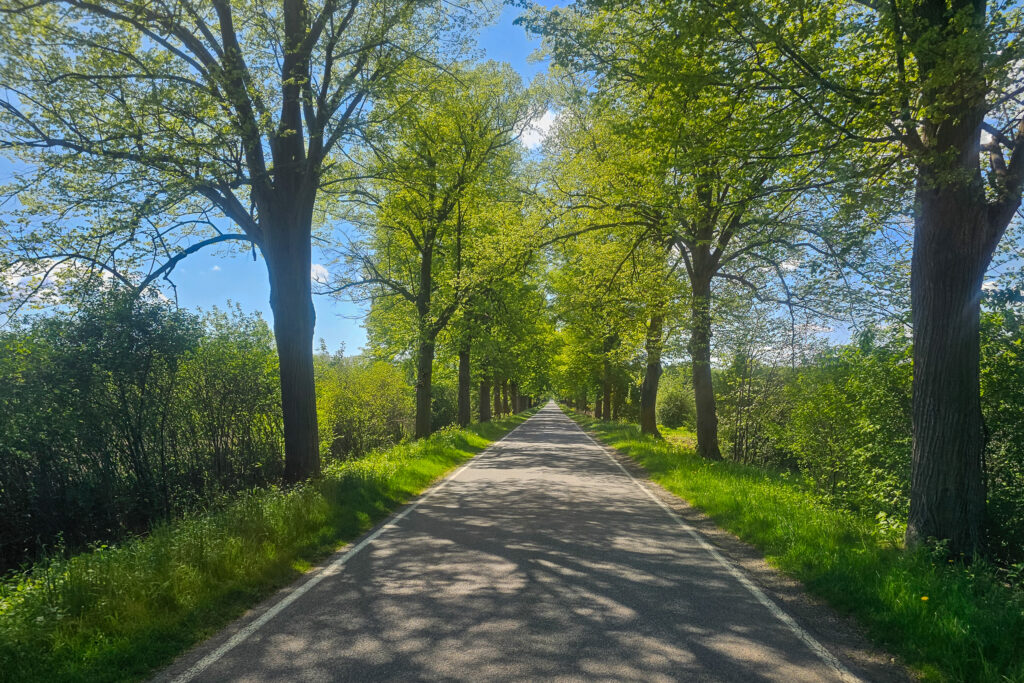 Bis in die Unendlichkat