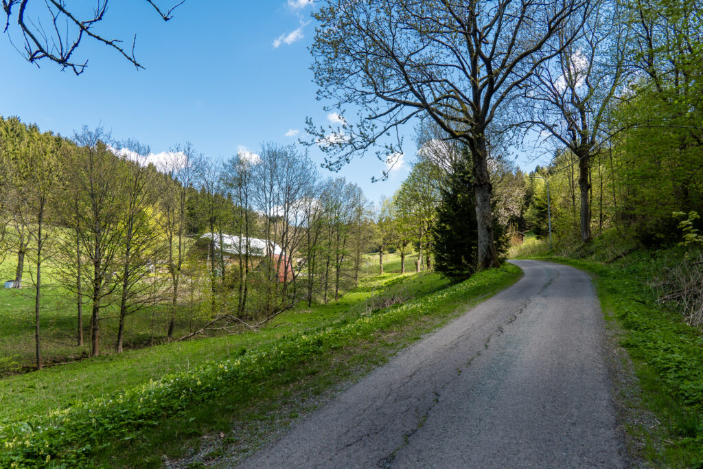 Und schon wieder runter