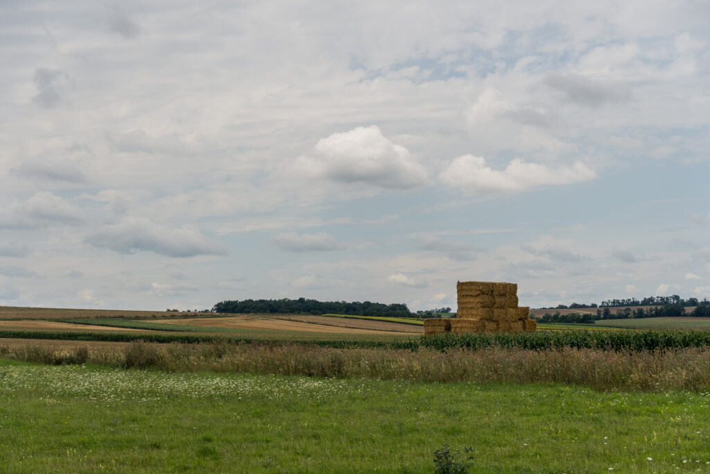 Es herbstelt schon ein bisserl