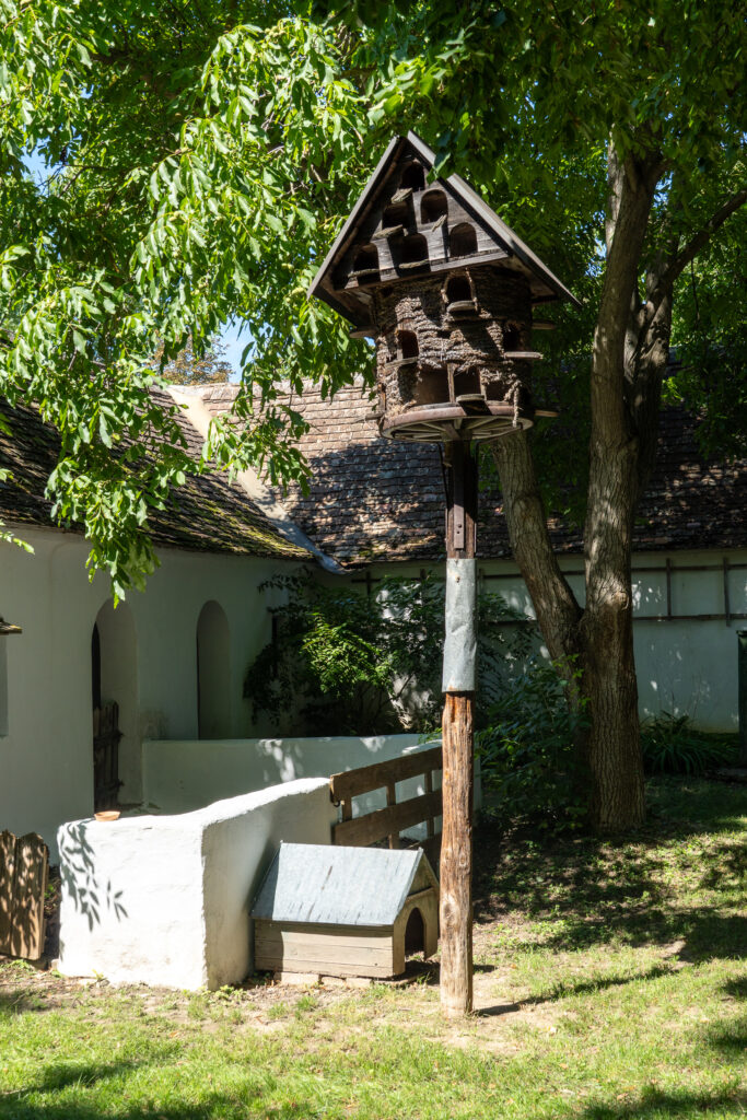 Tauben muss es auch viele gegeben haben