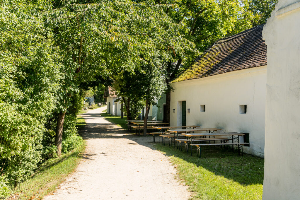 Eine Kellergasse aus dem ganzen Weinviertel