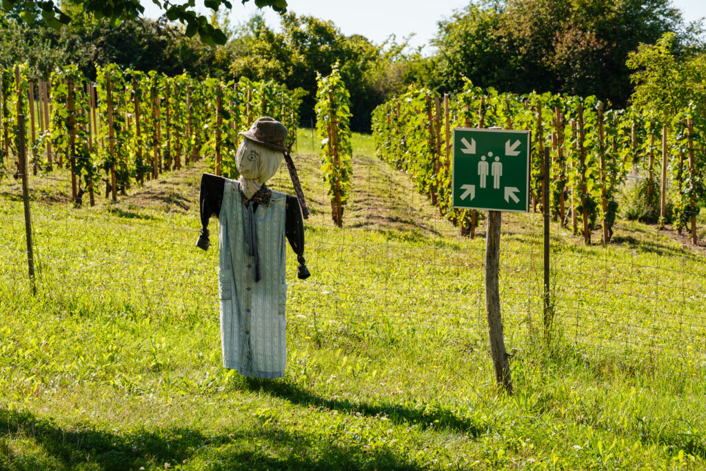 Sammelplatz für Vogelscheuchen