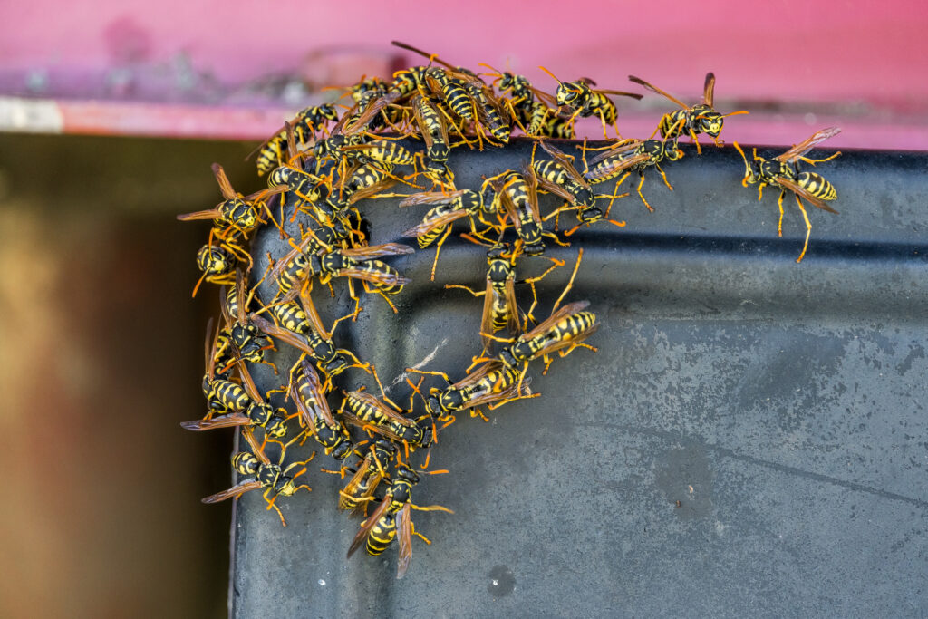 Auch hier rege Betriebsamkeit