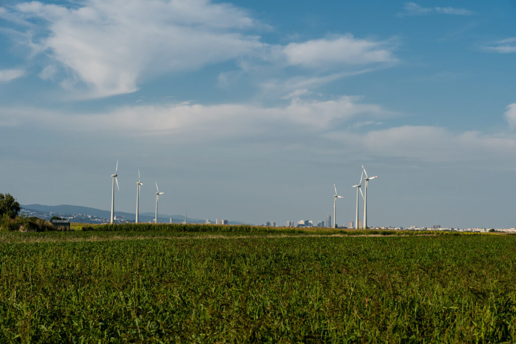 Aus der Ferne ganz harmlos