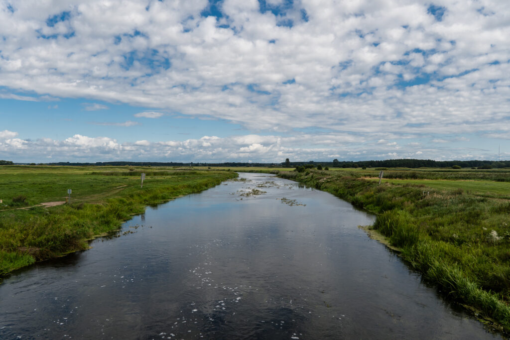 Narew I