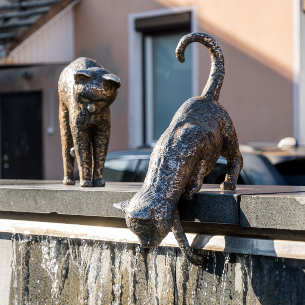 Angeblich erfüllen sie Wünsche