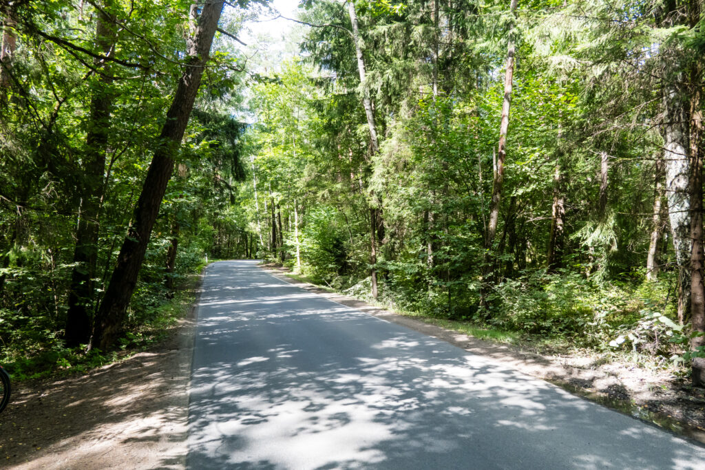 Viel Wald um Vilnius