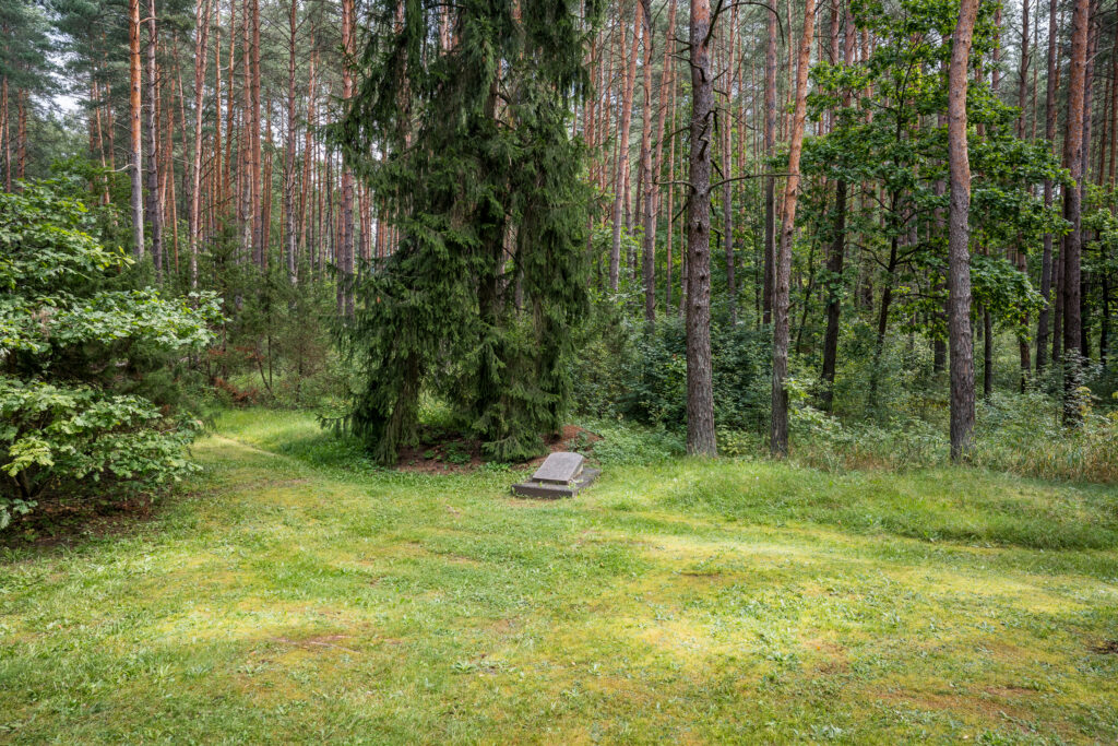 Grab des einzigen identifizierten Opfers Hilaris Feigus