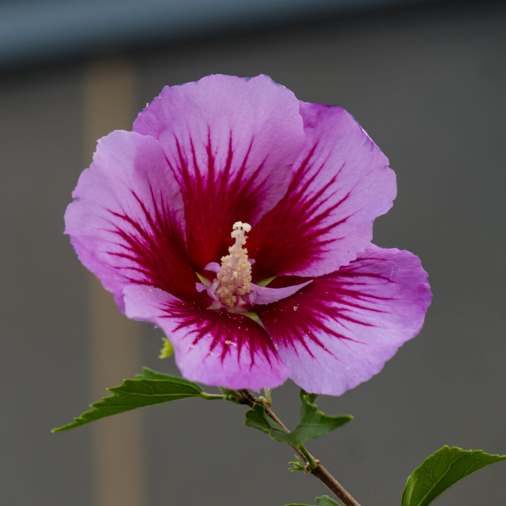 Die Natur spielt wieder alle Farben