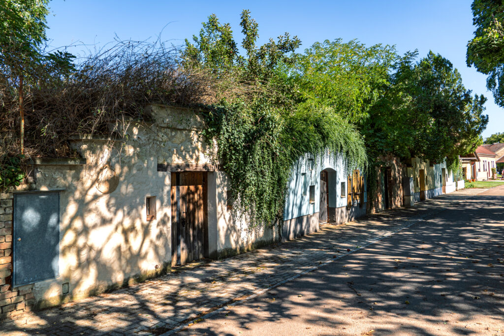 Irgendwann verschwindet die Kellergasse im Gebüsch