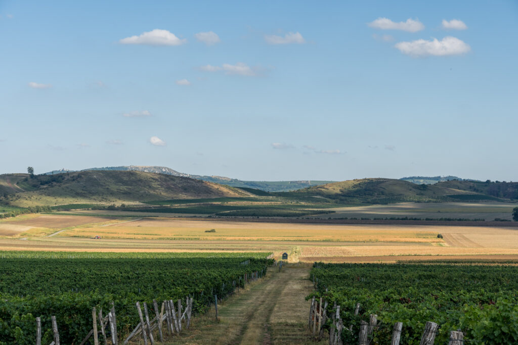 Sieht aus wie eine Steppe