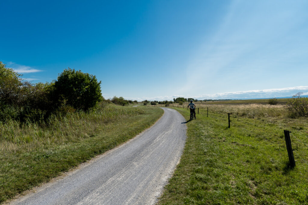 Mit dieser Schotterpiste kann ich leben