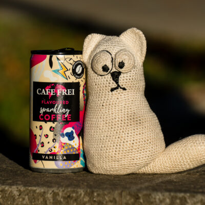 Tag 1: Wien – Kapuvár