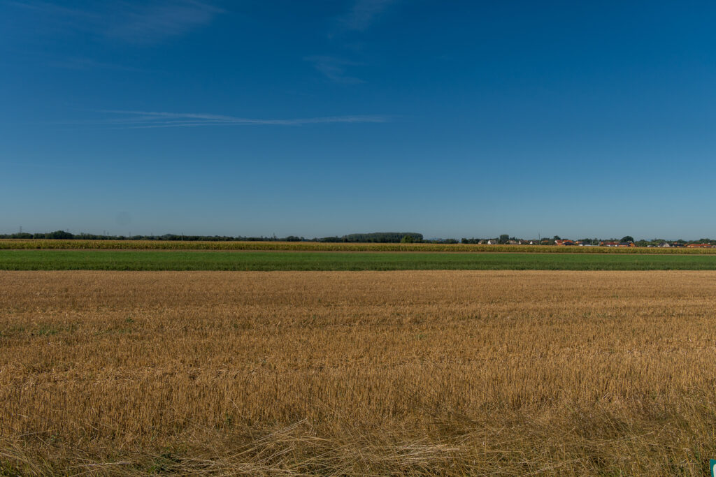 Heute: Sehr sehr flach