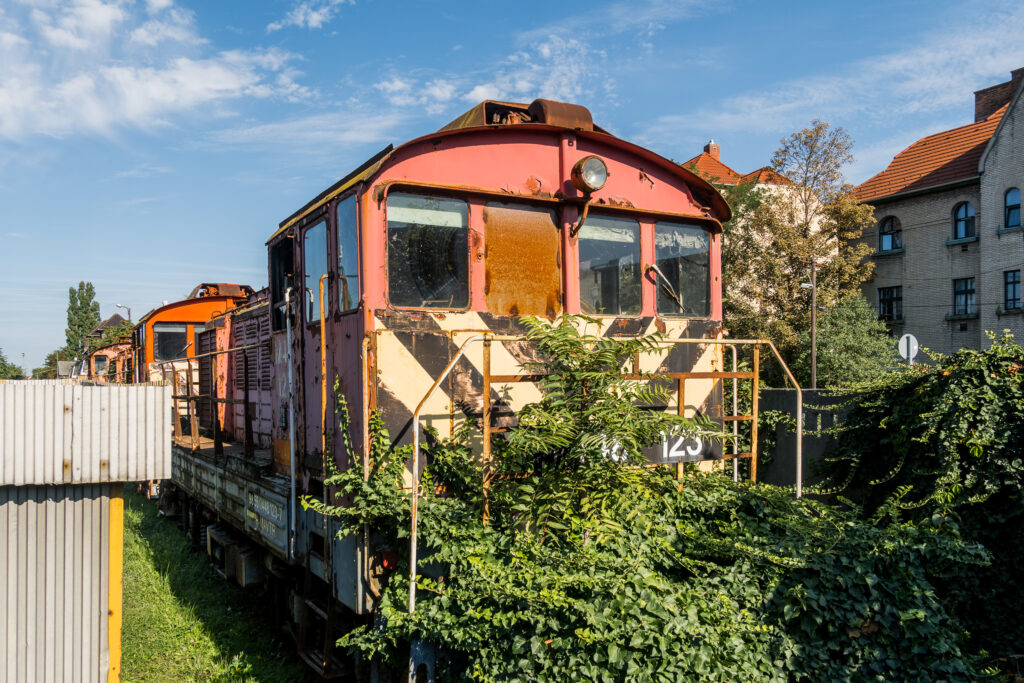 Die wird auch bald im Gebüsch verschwunden sein
