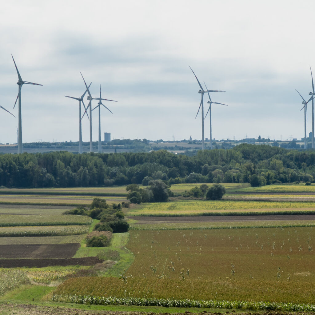 Der Windgürtel versteckt Spuren des Kuruzzenwalls