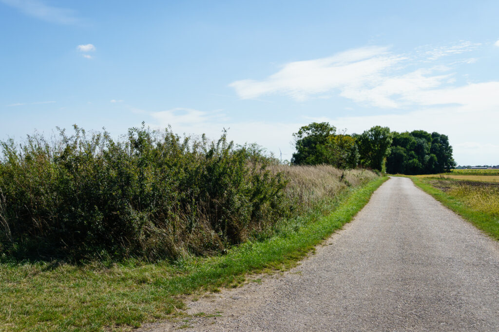 Hier sieht man dem Wall schon deutlich