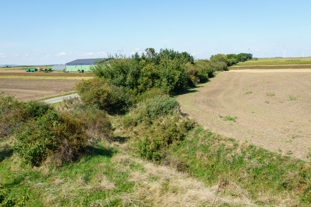 Der Graben vor dem Wall