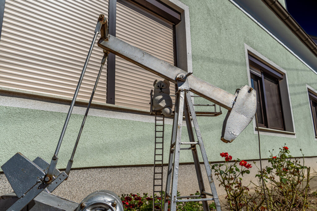 Katzenreise in die Fossile Vergangenheit