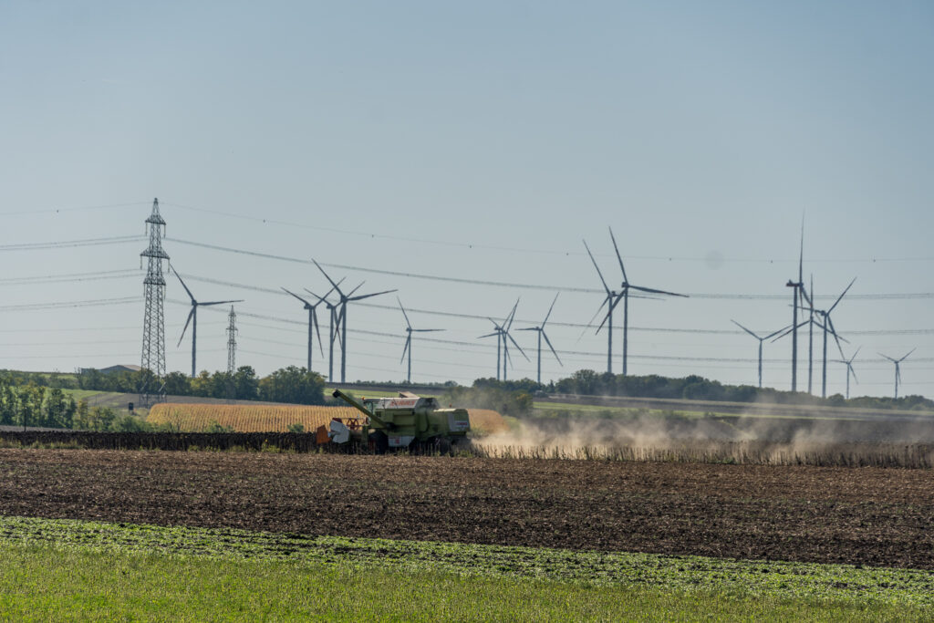 Untrügliche Zeichen von Herbst