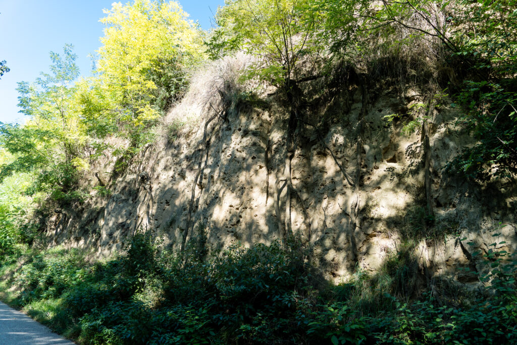 White Cliffs of Weinviertel