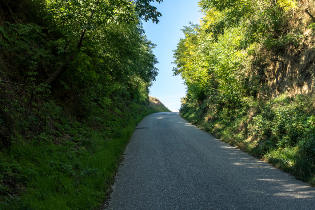 Durch diese hohle Gasse müssen sie fahren