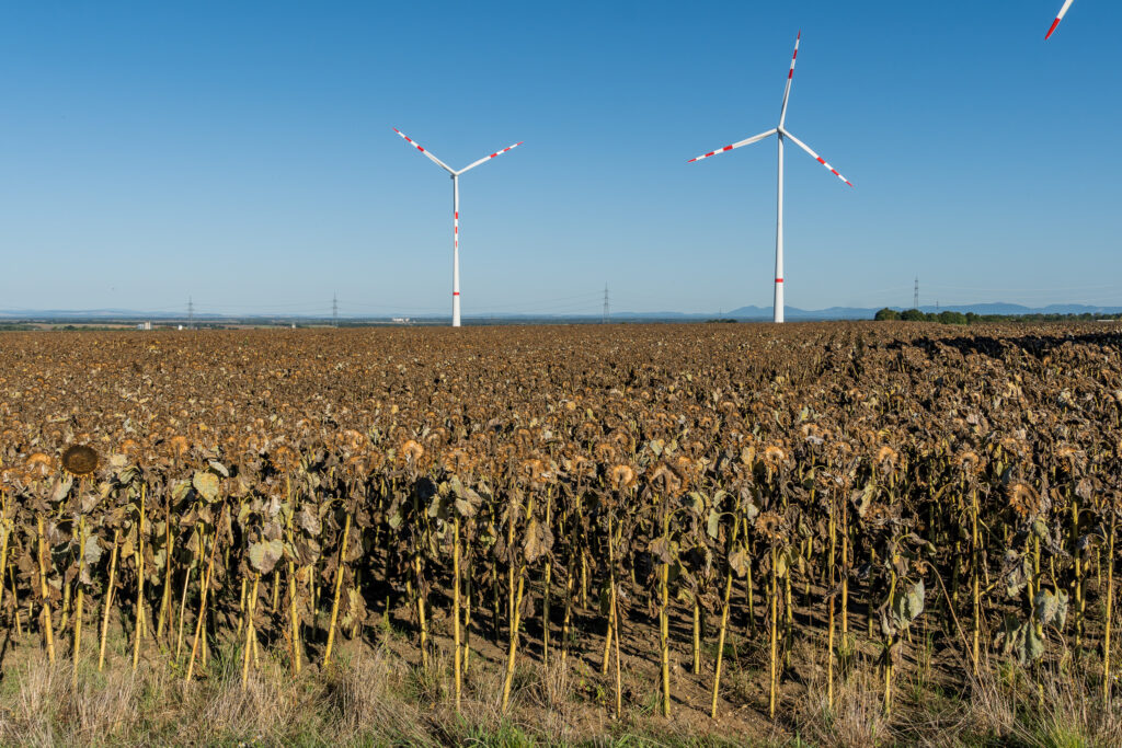 Auch schon im Herbstmodus