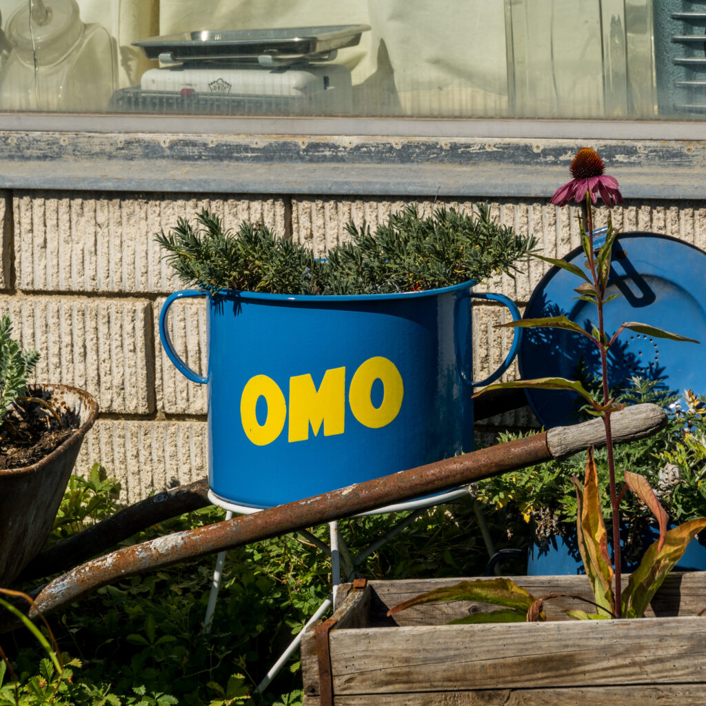 Die Seltene Waschmittel-Pflanze