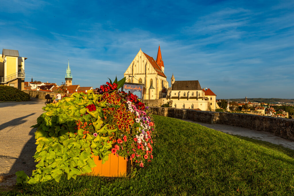 Die letzten Sommerblumen