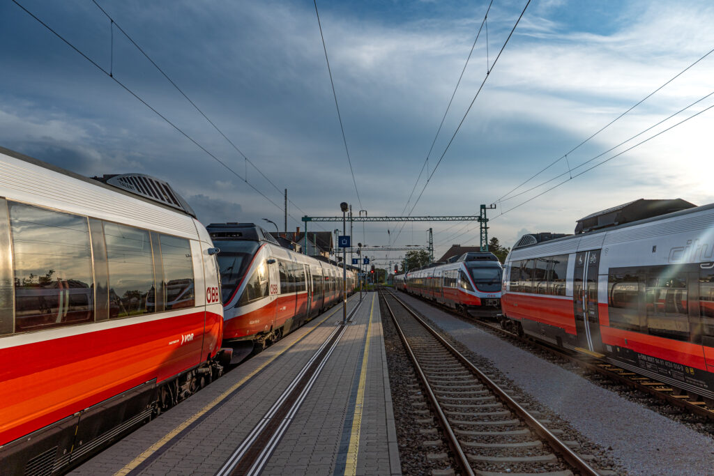 Welchen nehmen wir denn?