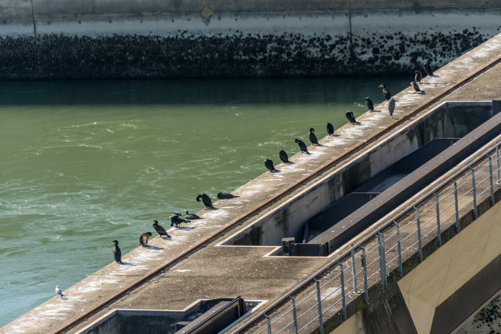 Der Rest der Sippe nebenan