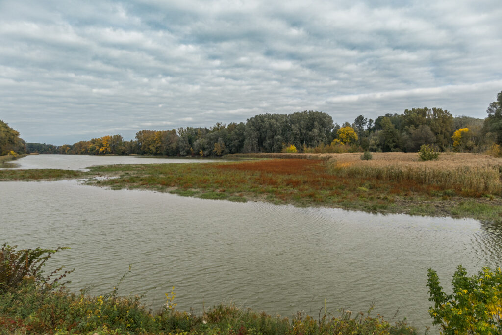 Die Landnahme in der Lobau schreitet voran
