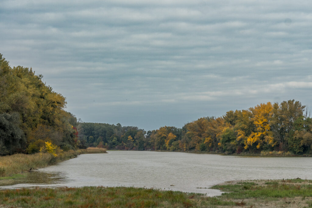 Kühwörther Wasser - wenig Wasser halt