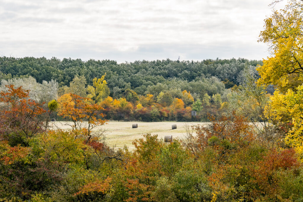 Die Felder sind fertig