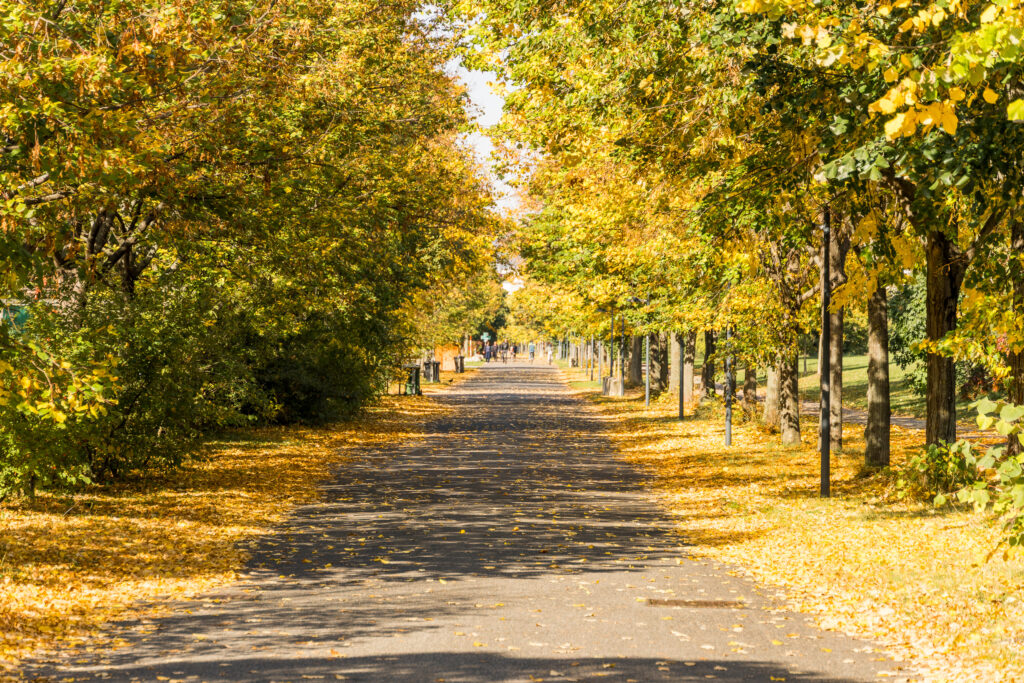 Am goldenen Donauufer