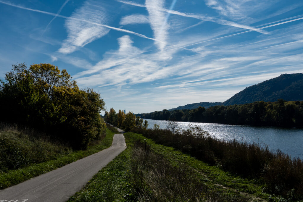 Perfektes Rad-Tagerl