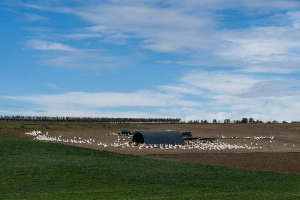 Martini steht bevor...