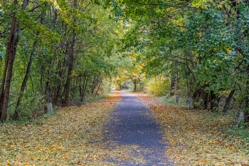Durch den Blätter-Tunnel