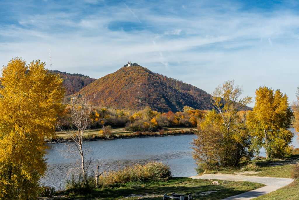 Leopoldsberg in allen Farben