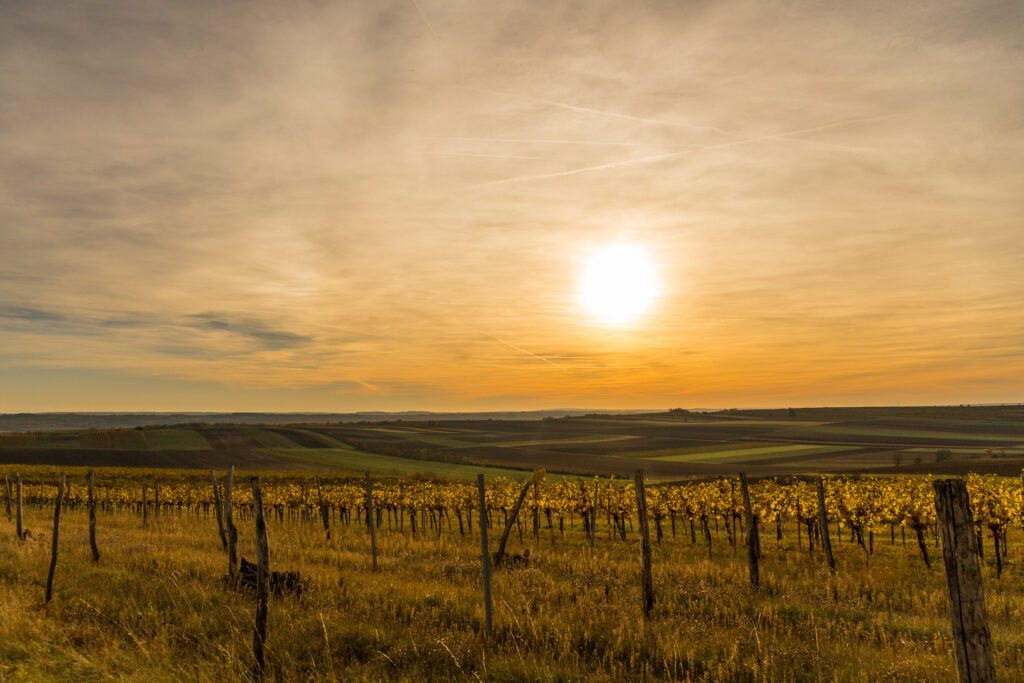 Die Sonne senkt sich viel zu schnell