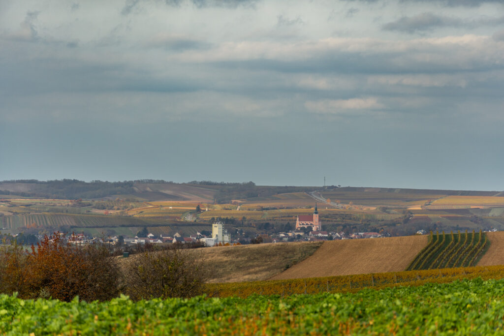 Poysdorf versteckt sich