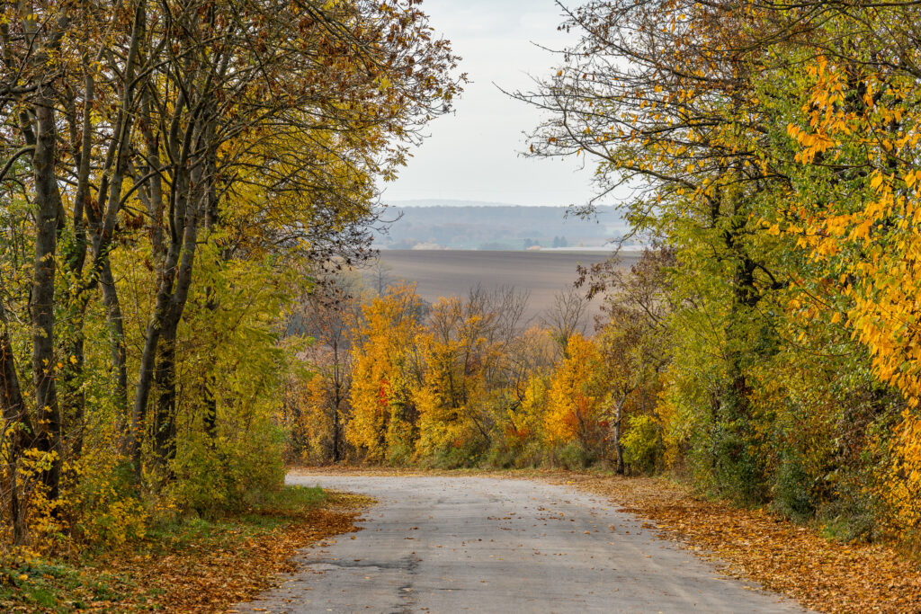 Hinten der Allerheiligennebel