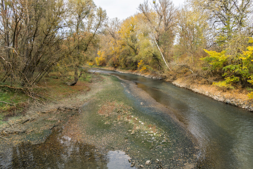 Der Altarm sieht alt und arm aus.