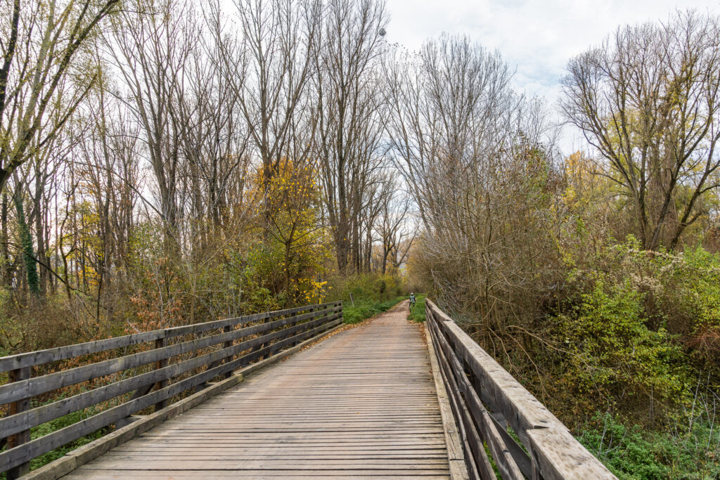 Die Brücke in den Herbst