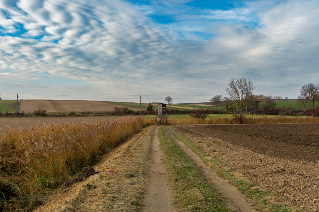 Ein bisserl Gravel geht immer