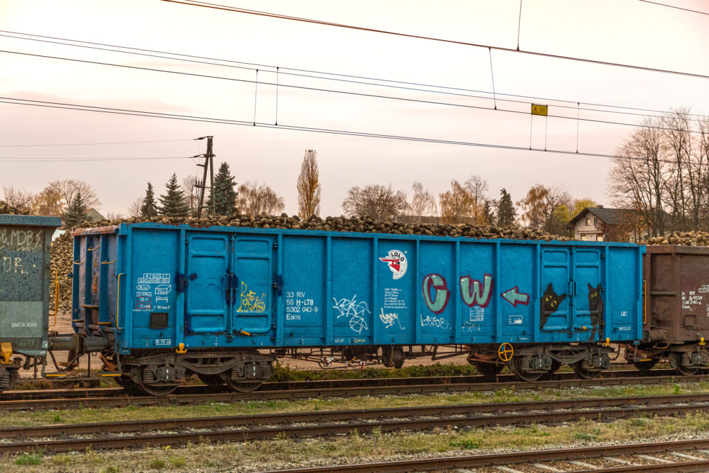 Eisenbahn und Catcontent: die perfekte Synthese