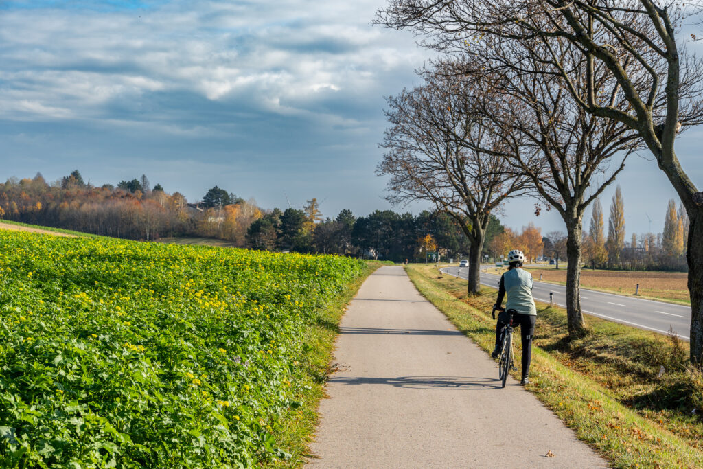 Noch haben wir es schön hier